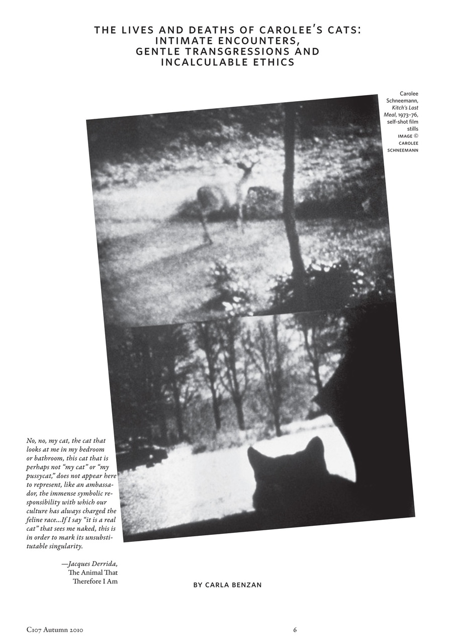 C Magazine Preview Pages