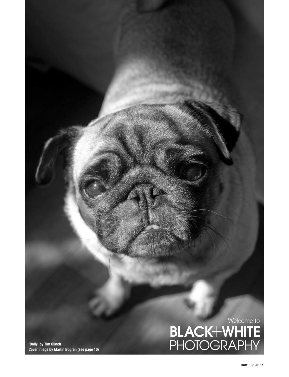 Black+White Photography Preview Pages