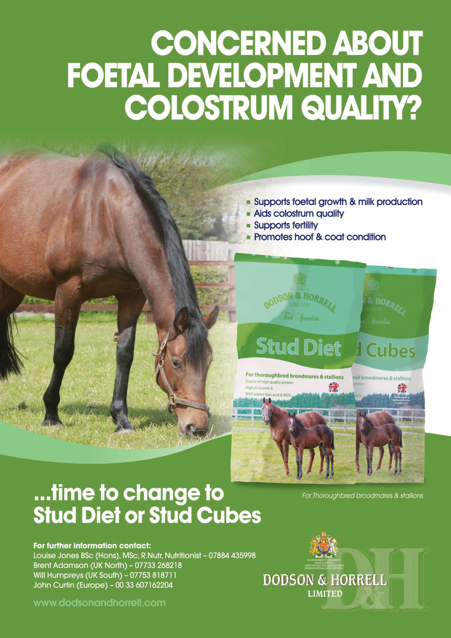 European Trainer Magazine - horse racing Preview Pages