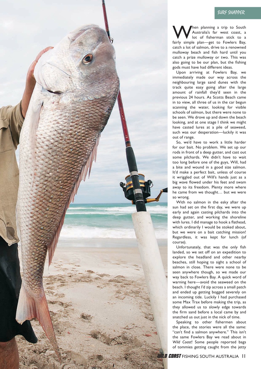 Fishing SA Preview Pages