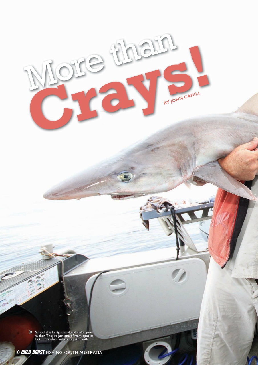 Fishing SA Preview Pages