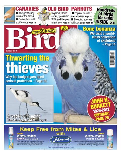 Cage & Aviary Birds issue 