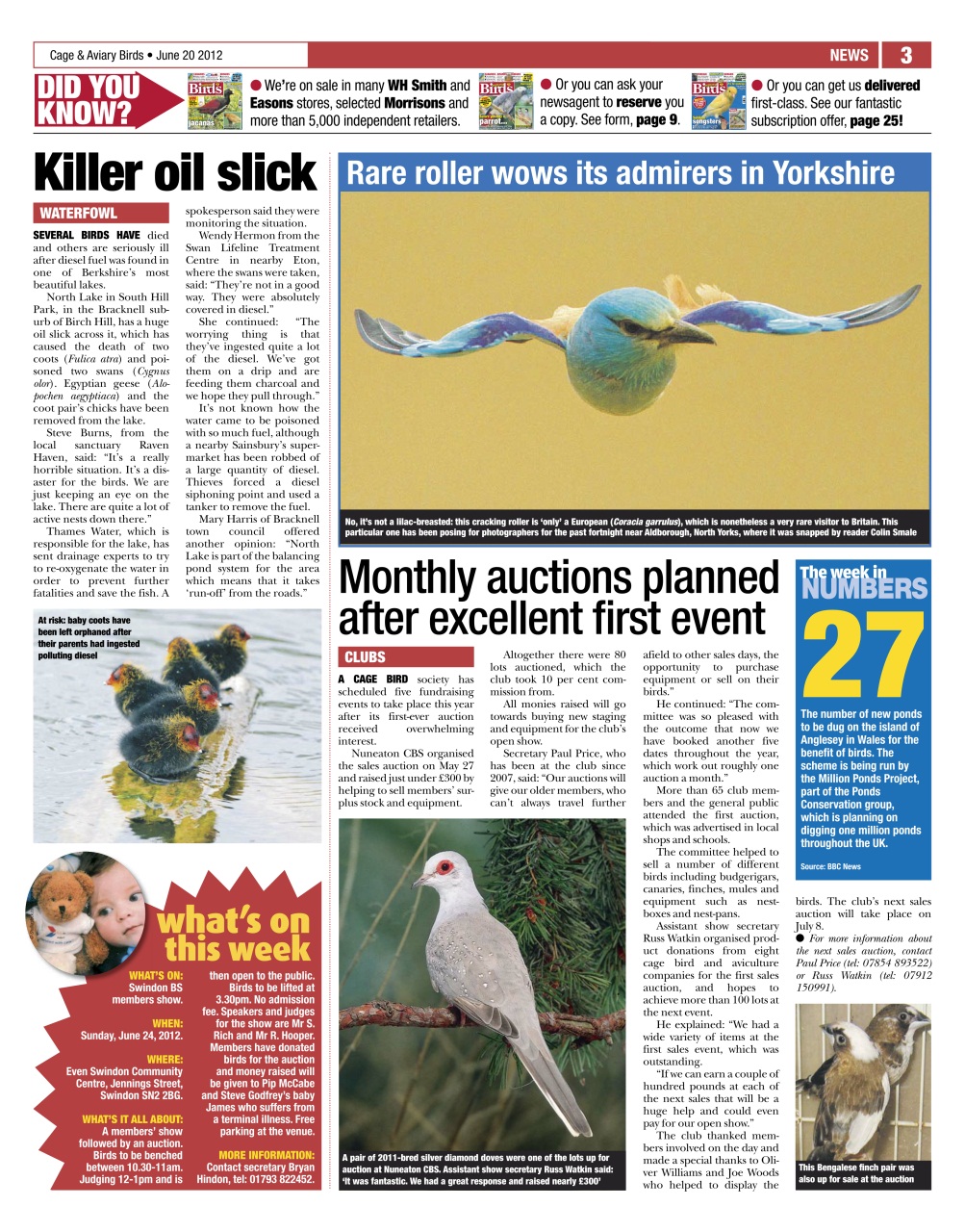 Cage & Aviary Birds Preview Pages