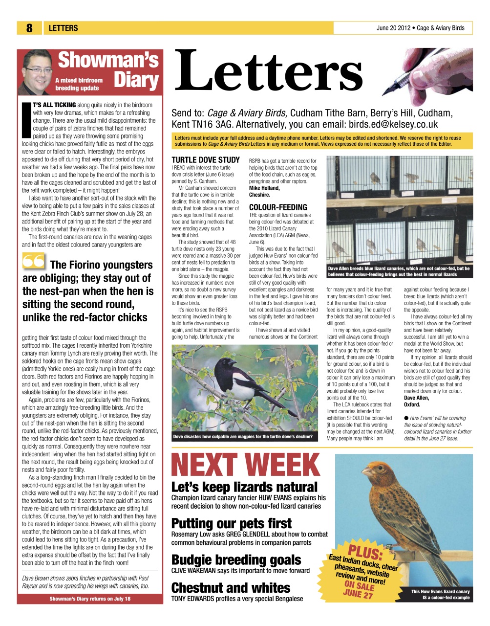 Cage & Aviary Birds Preview Pages