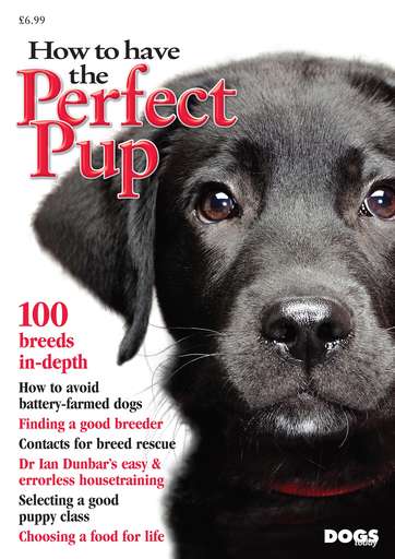 Dogs Today Magazine issue 