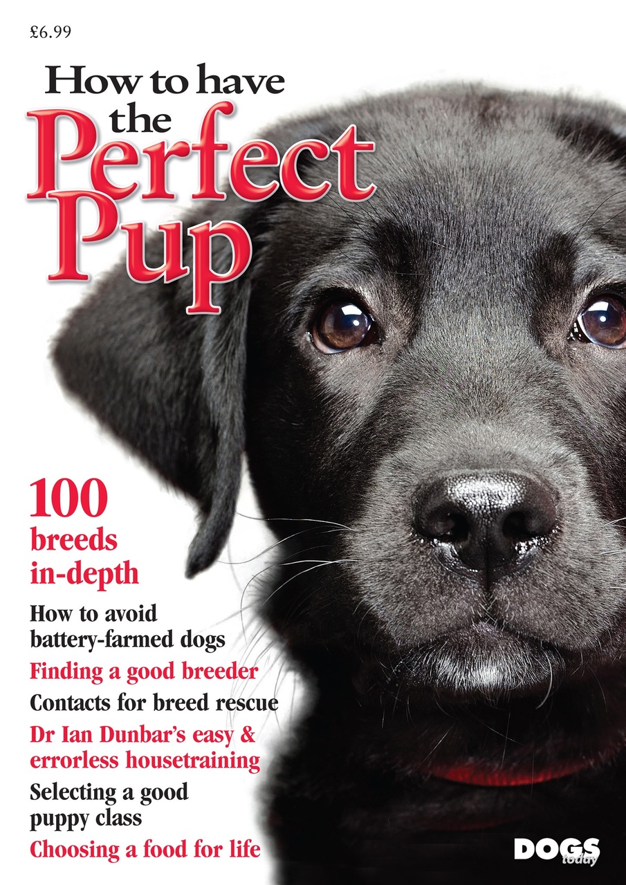 Dogs Today Magazine Preview Pages