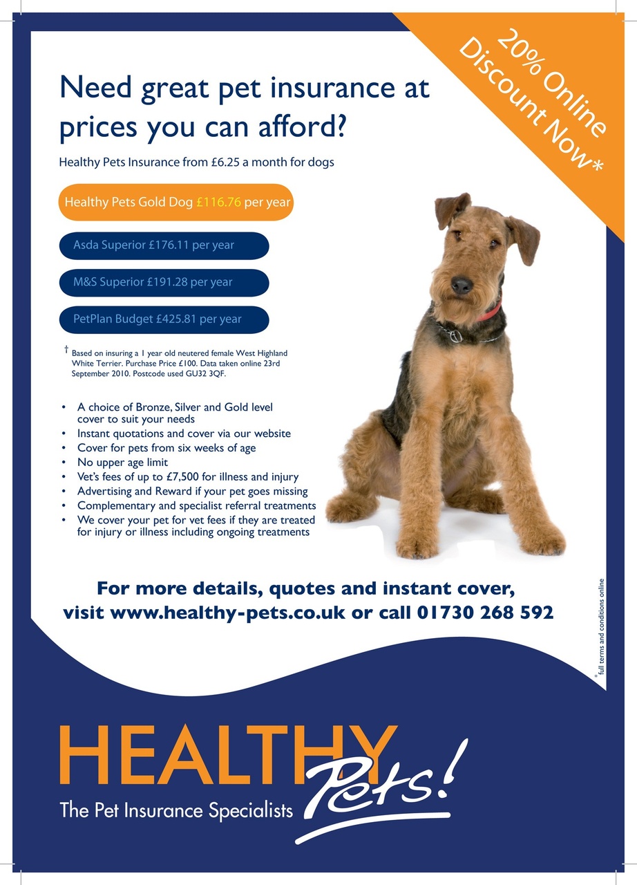 Dogs Today Magazine Preview Pages