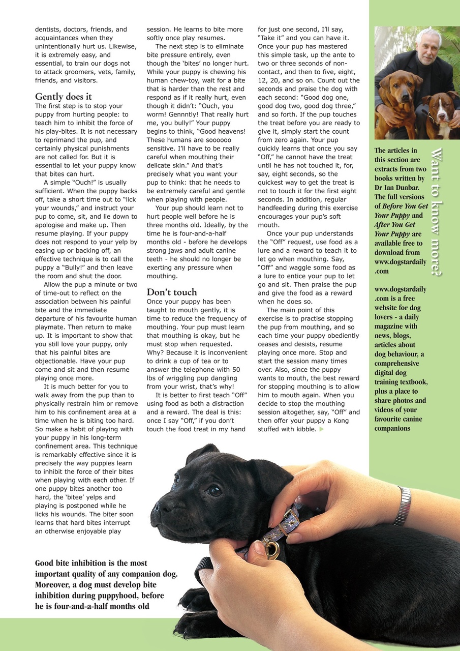 Dogs Today Magazine Preview Pages
