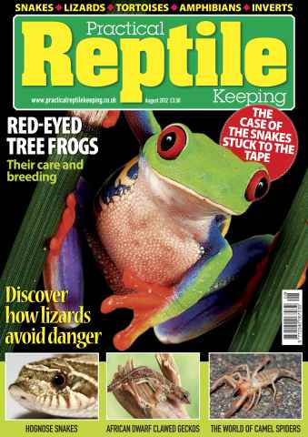 Practical Reptile Keeping issue No.39 Tree Frogs