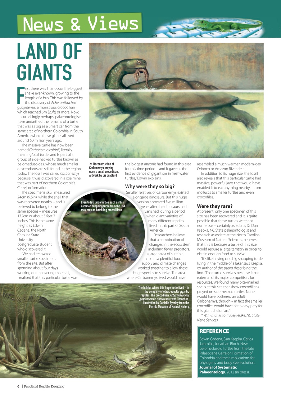 Practical Reptile Keeping Preview Pages