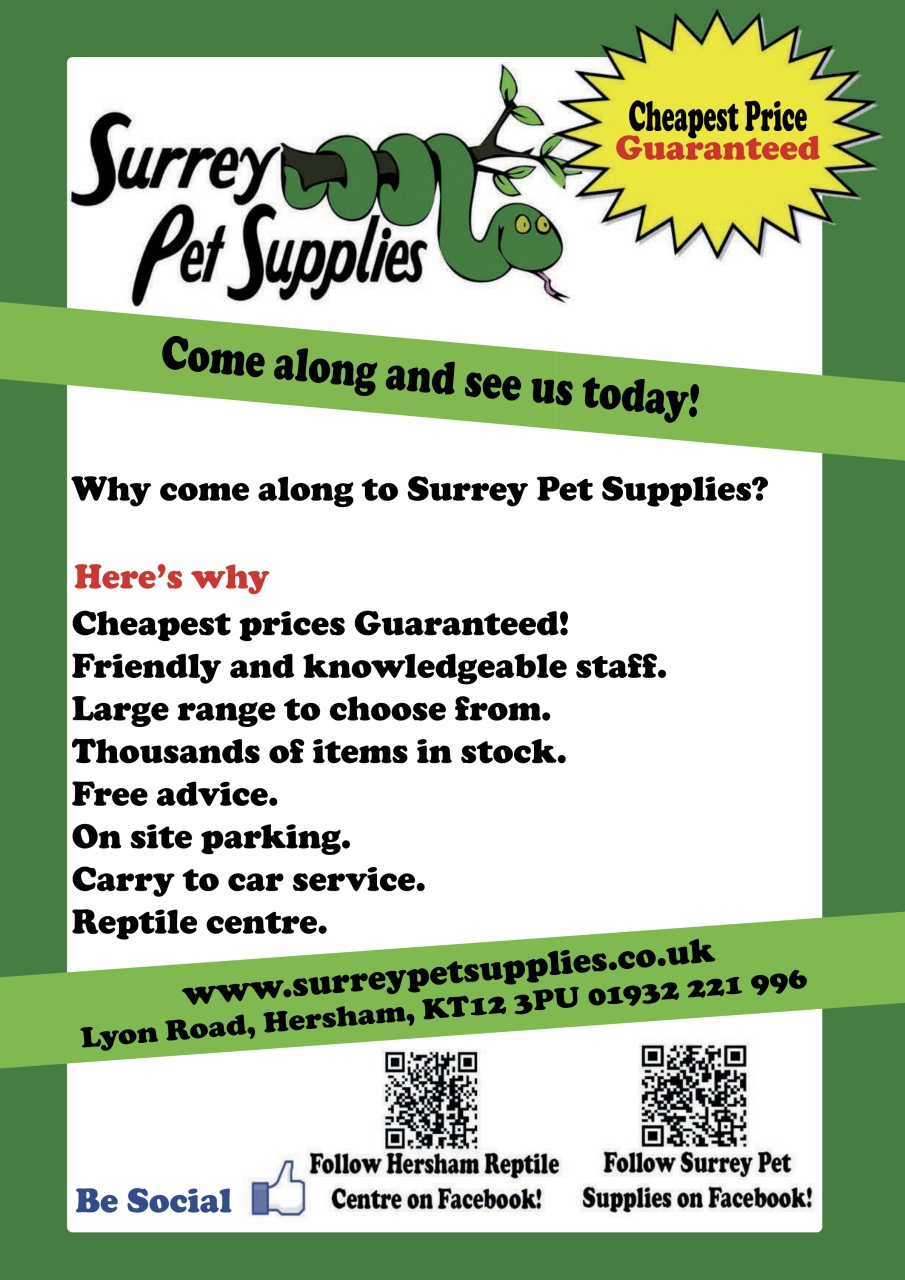 Practical Reptile Keeping Preview Pages