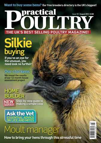 Practical Poultry issue Buying a Silkie Aug 2012
