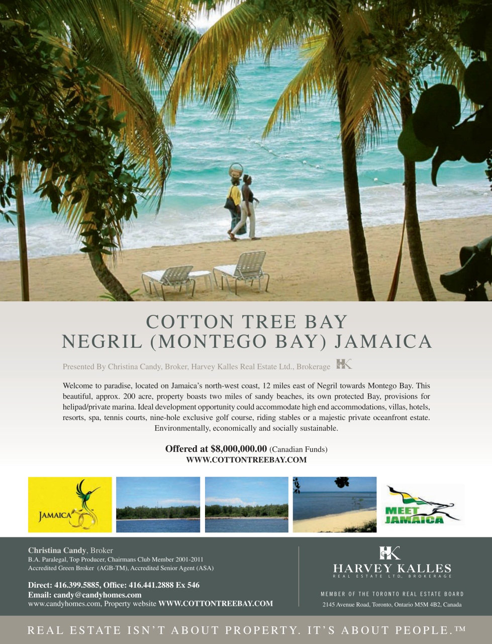 A Place in the Sun Magazine Preview Pages