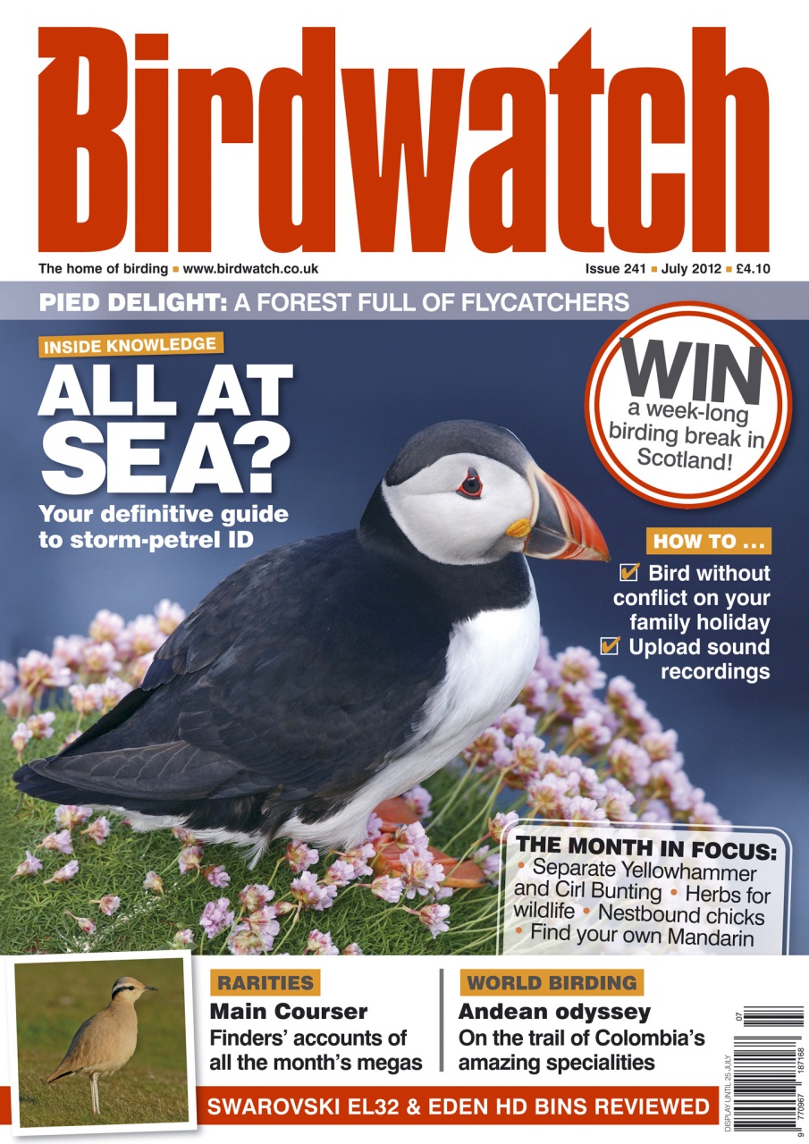 Birdwatch Magazine Preview Pages