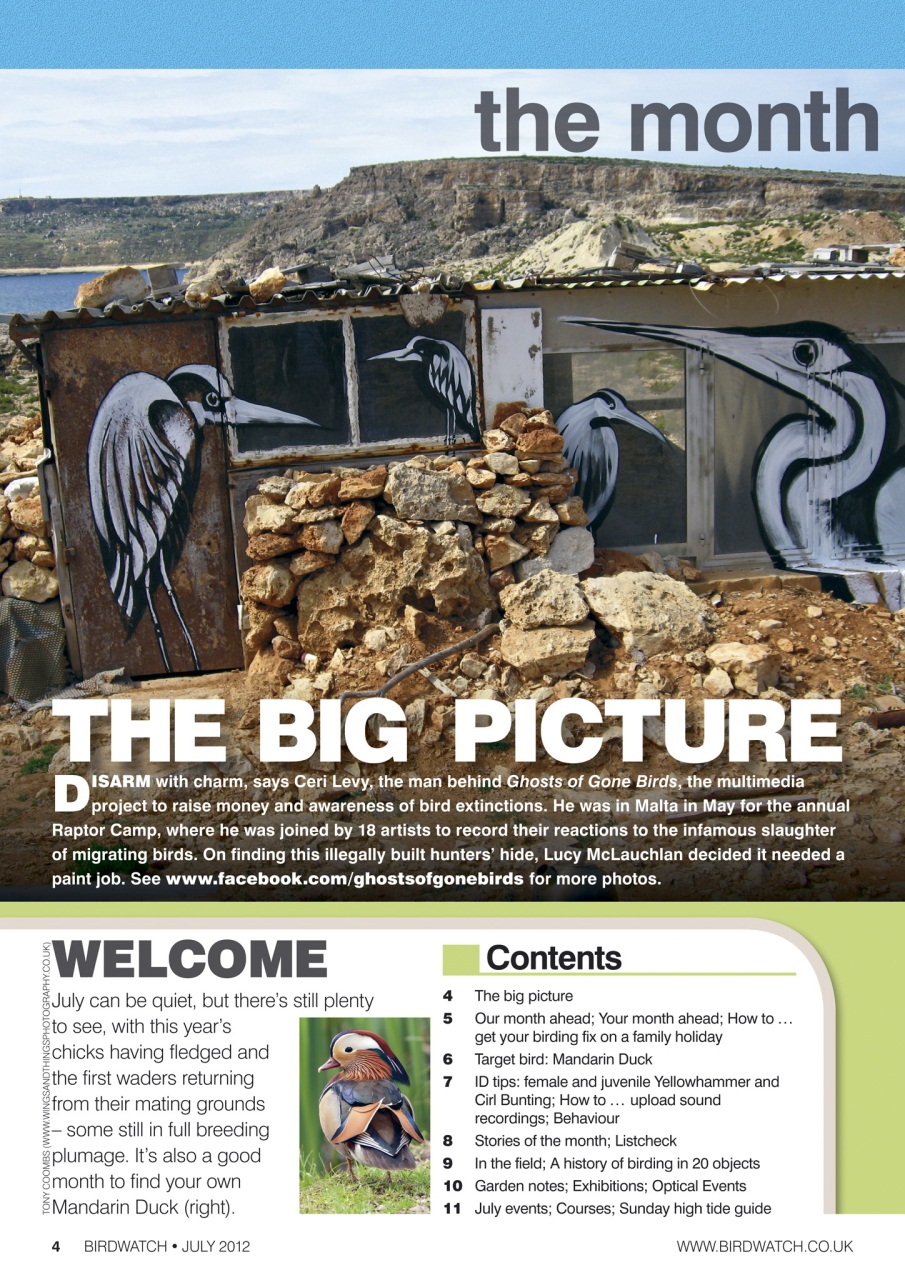Birdwatch Magazine Preview Pages