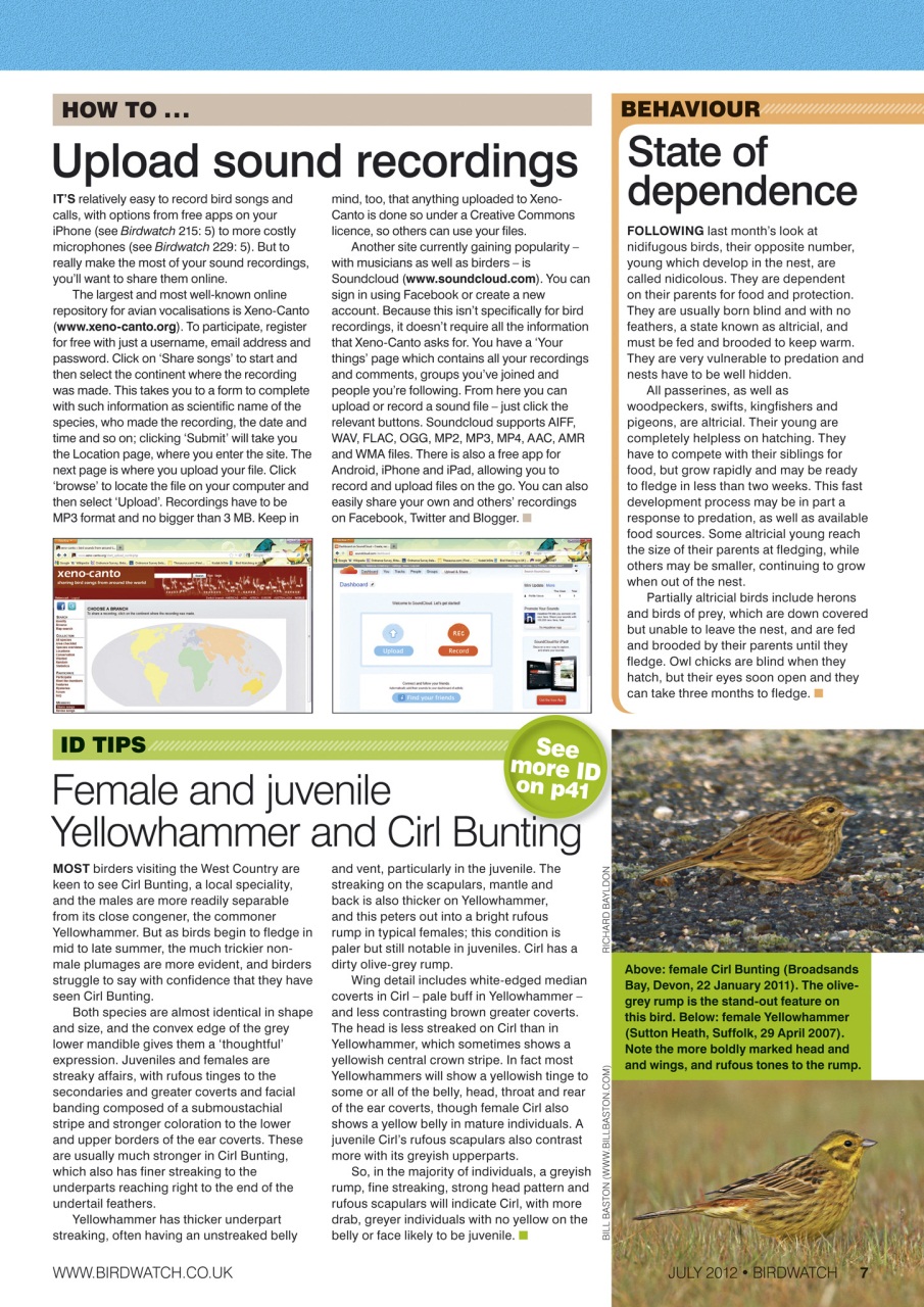 Birdwatch Magazine Preview Pages