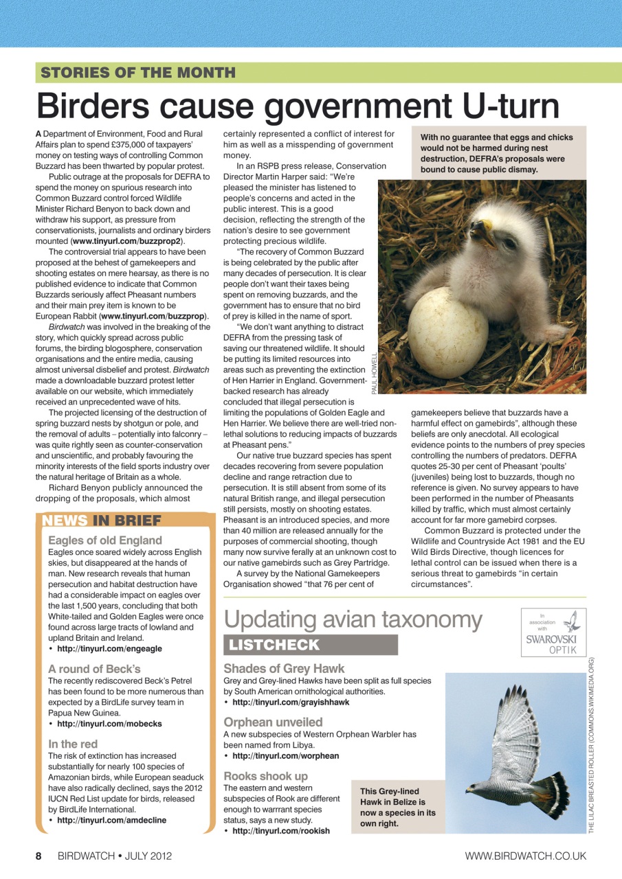 Birdwatch Magazine Preview Pages