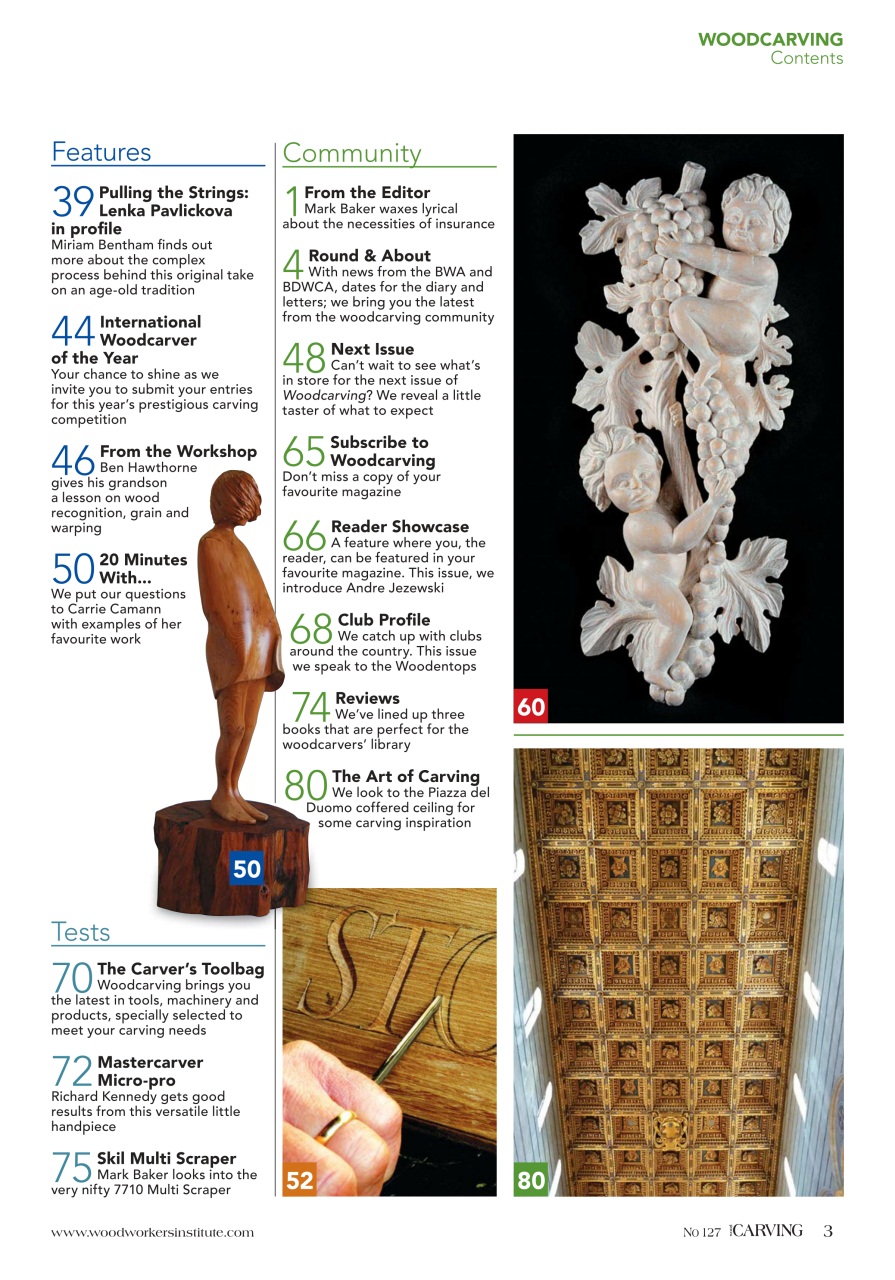 Woodcarving Preview Pages