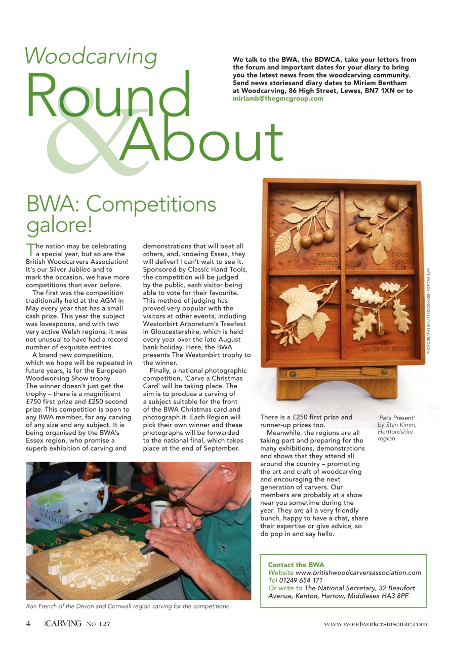 Woodcarving Preview Pages