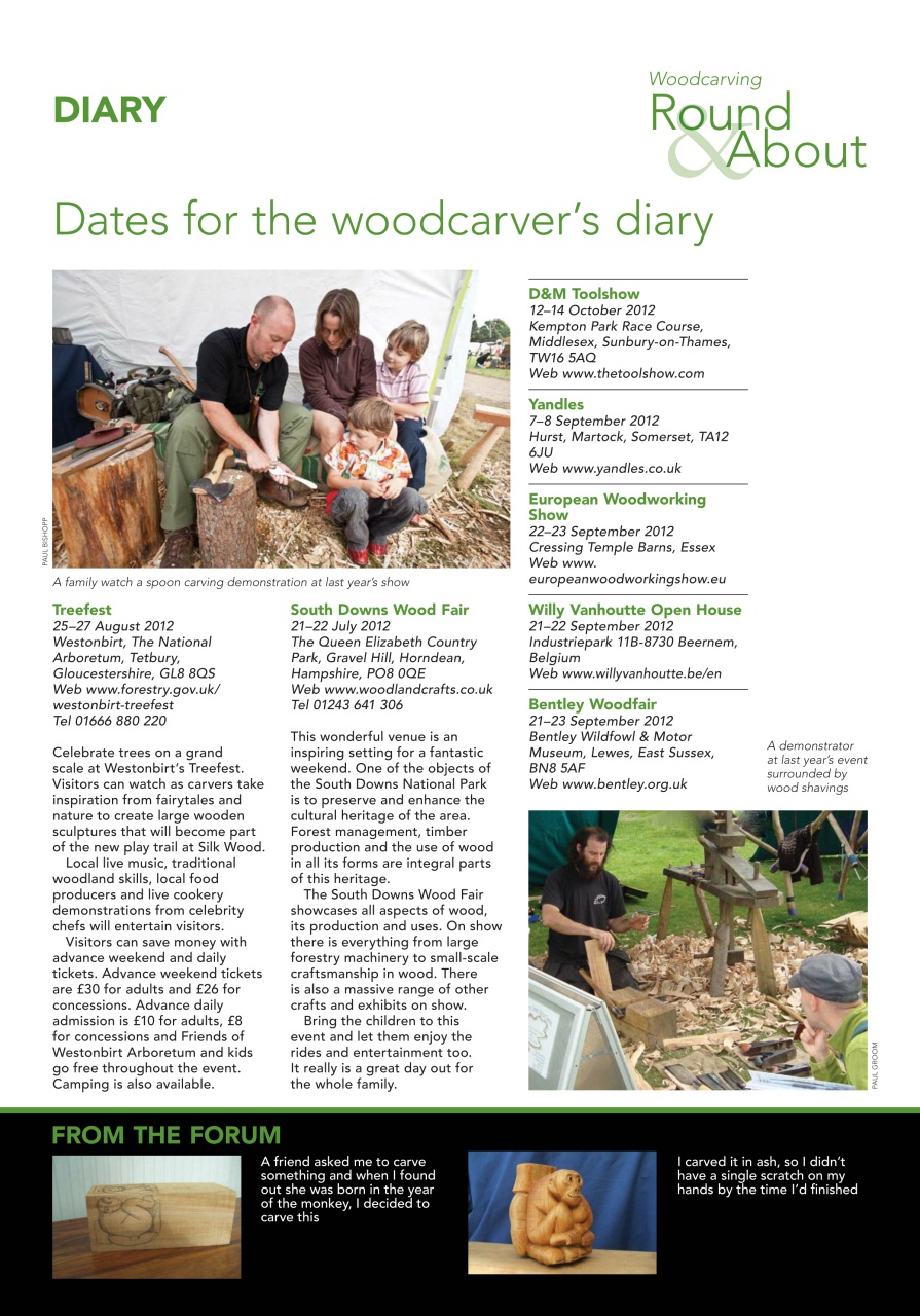 Woodcarving Preview Pages