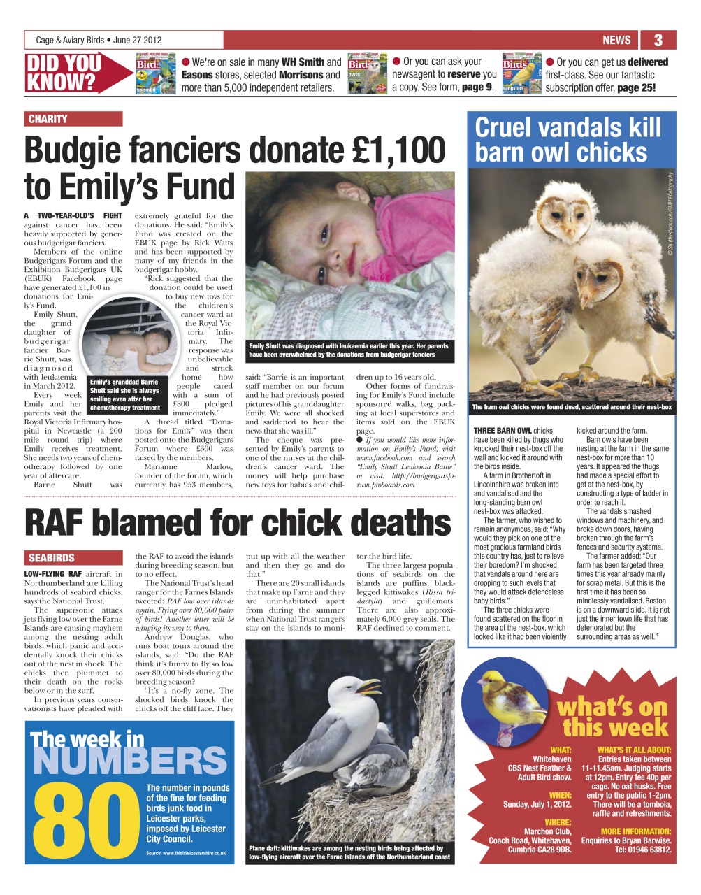 Cage & Aviary Birds Preview Pages