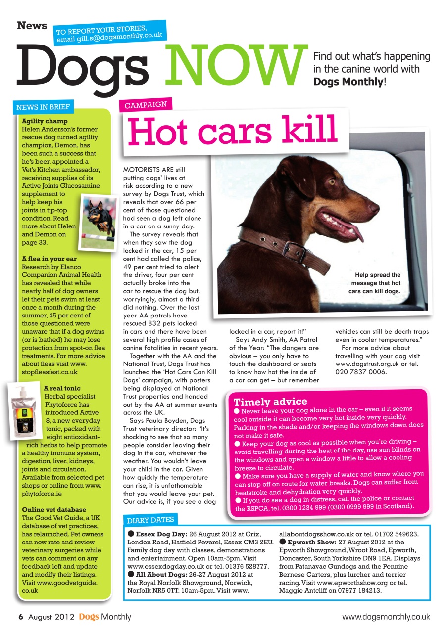 Dogs Monthly Preview Pages
