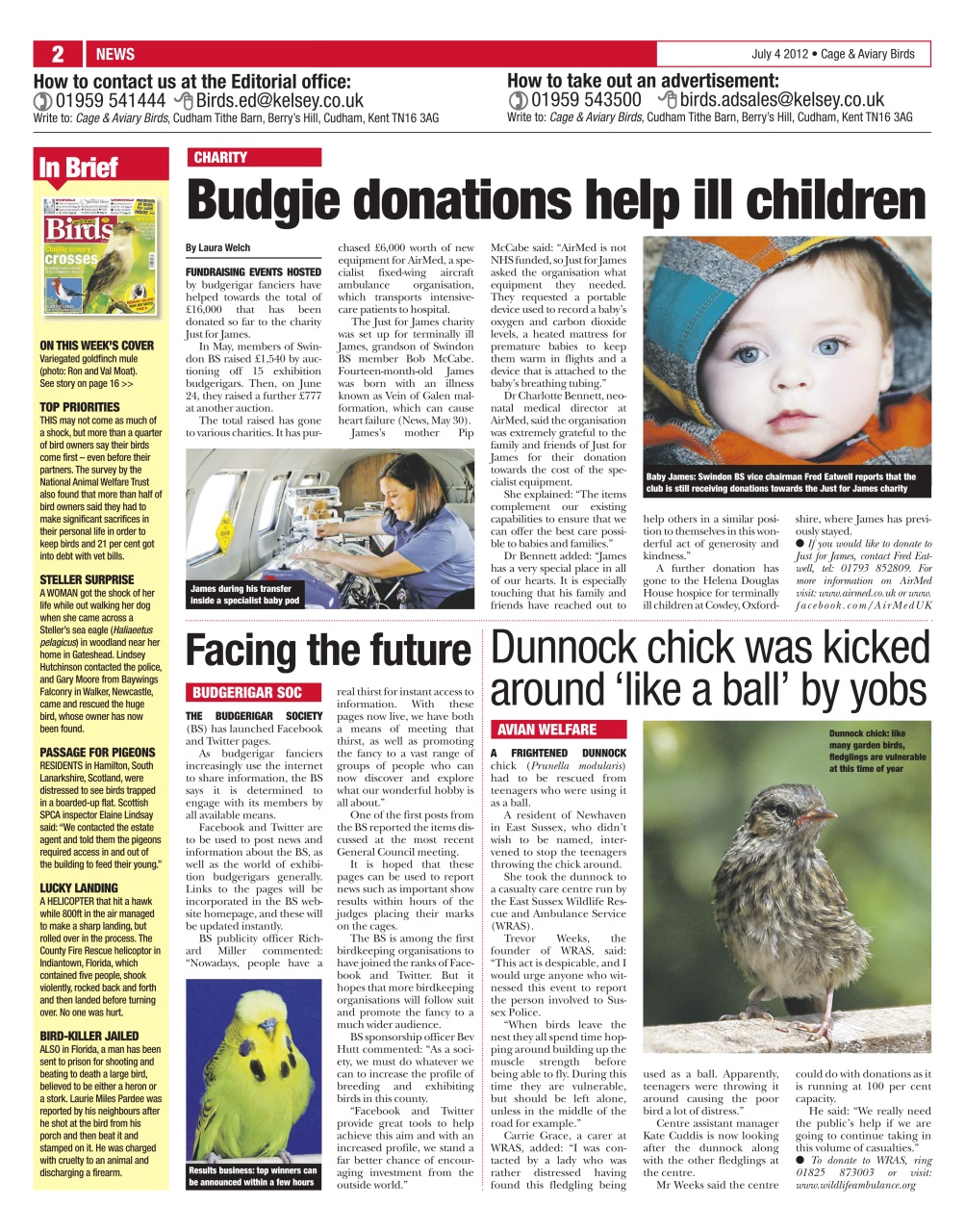 Cage & Aviary Birds Preview Pages