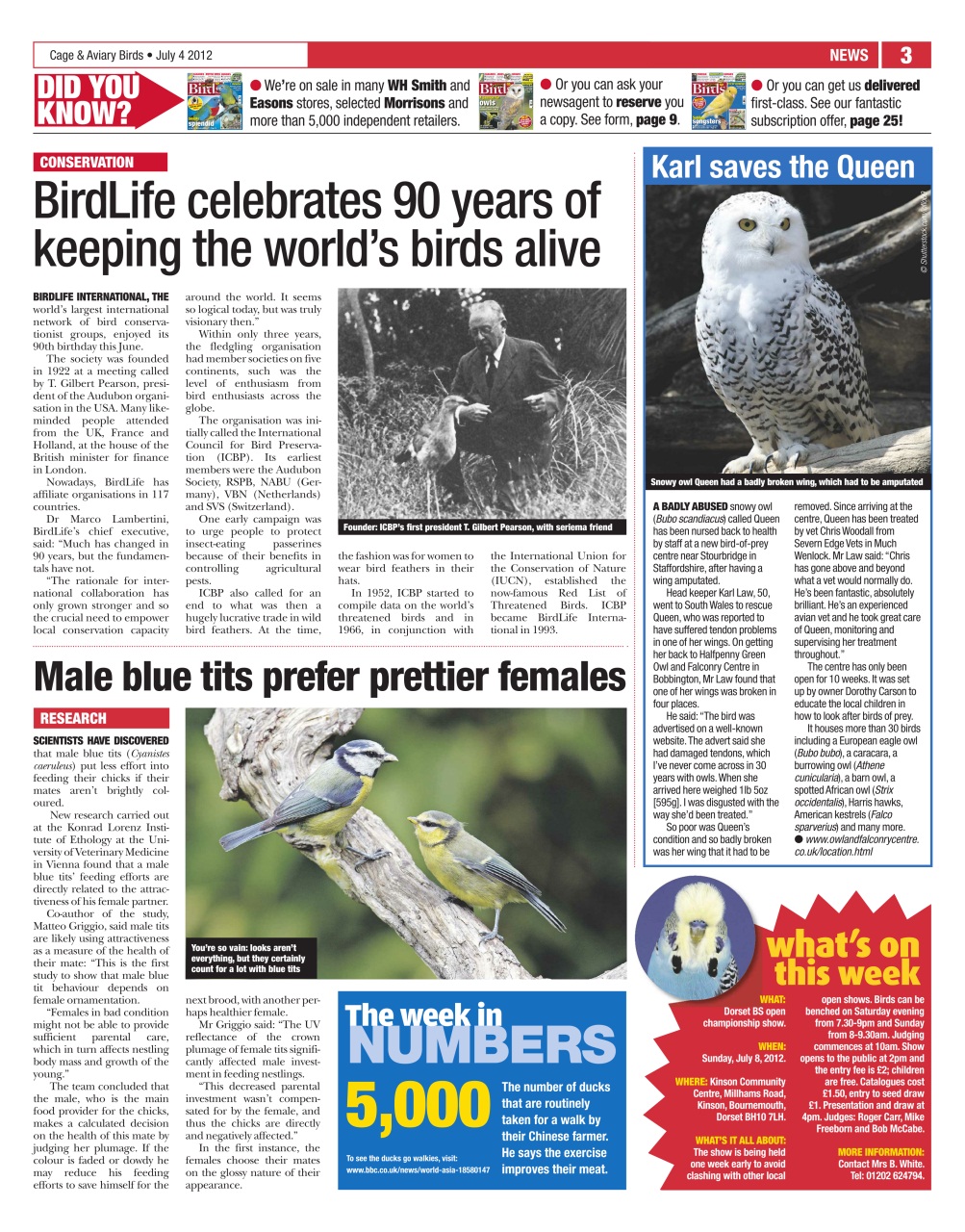 Cage & Aviary Birds Preview Pages