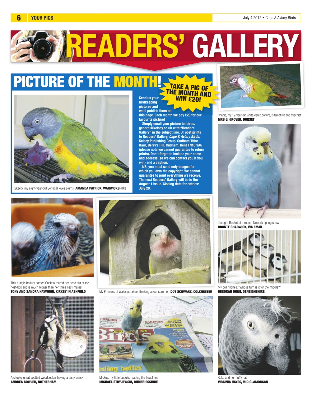 Cage & Aviary Birds Preview Pages