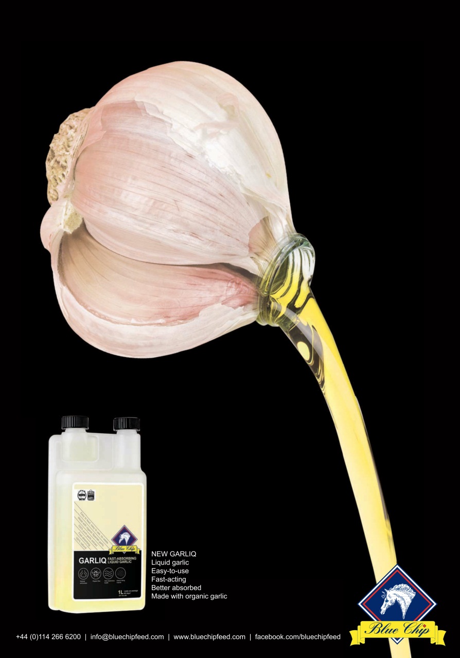 Horse&Rider Magazine - UK equestrian magazine for Horse and Rider Preview Pages