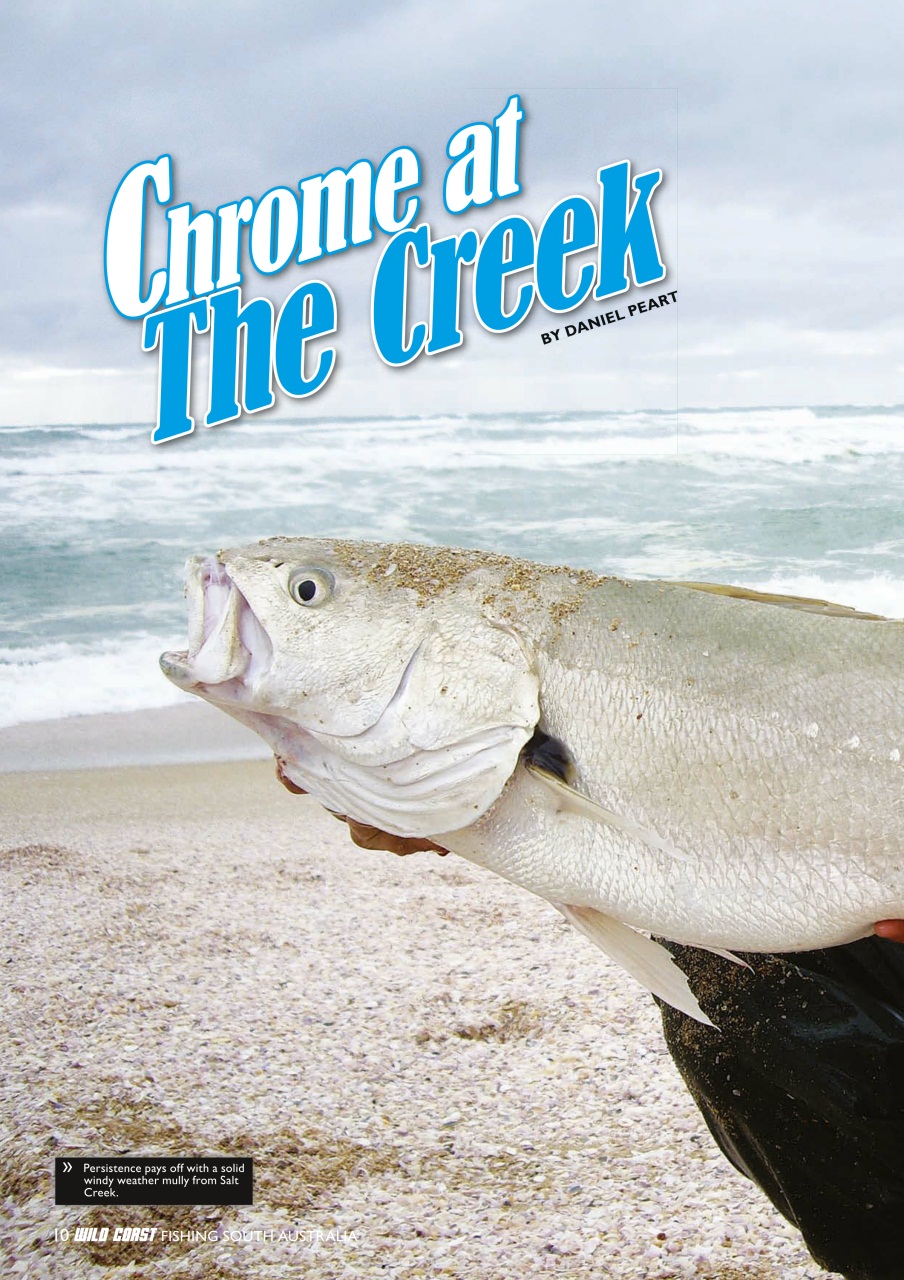 Fishing SA Preview Pages