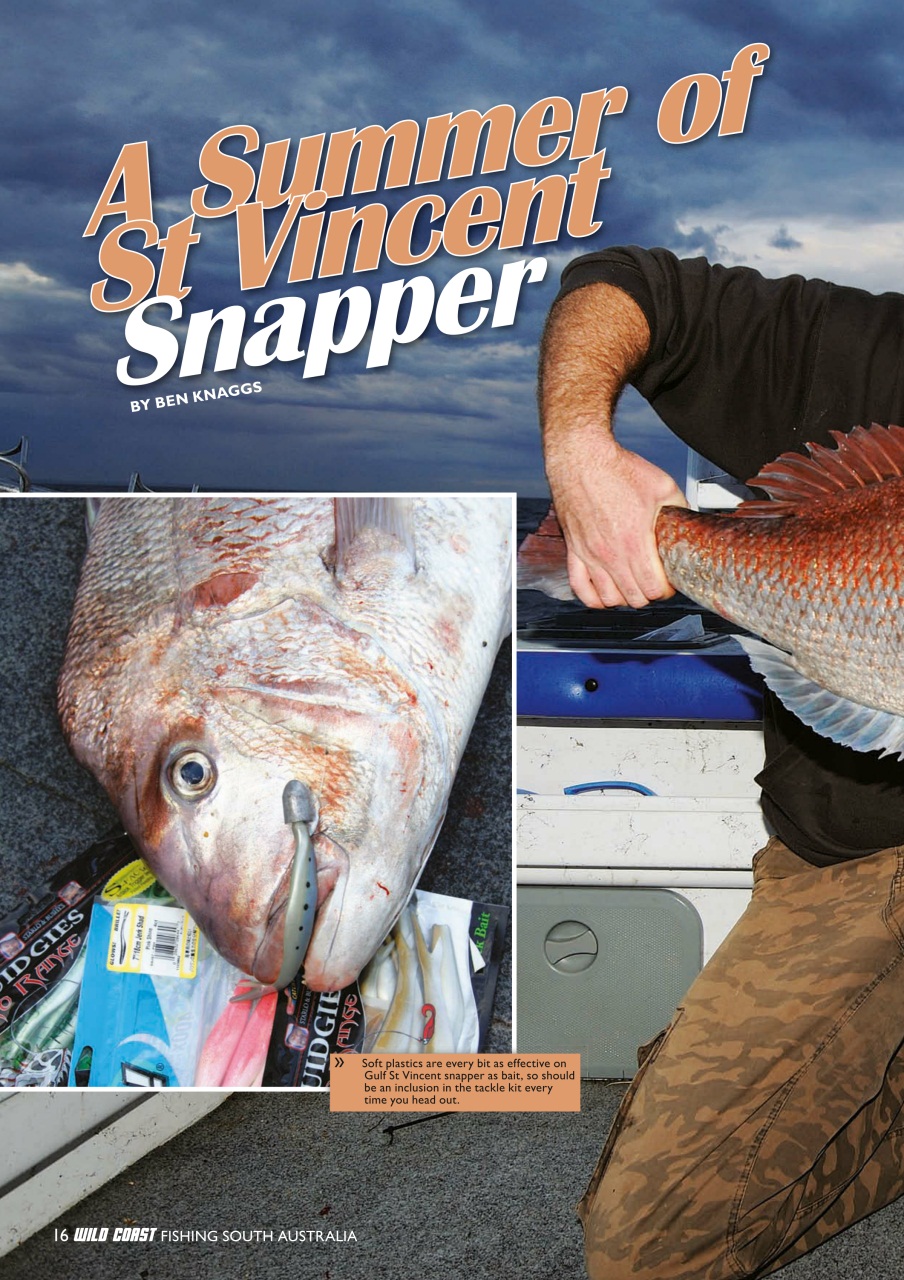 Fishing SA Preview Pages