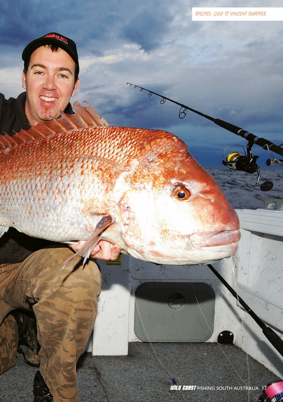 Fishing SA Preview Pages