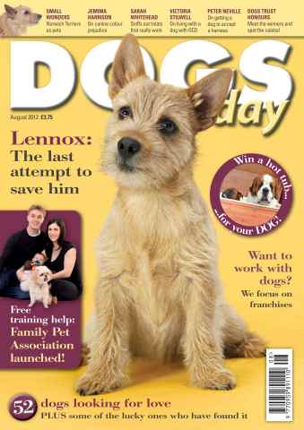 Dogs Today Magazine issue August 2012