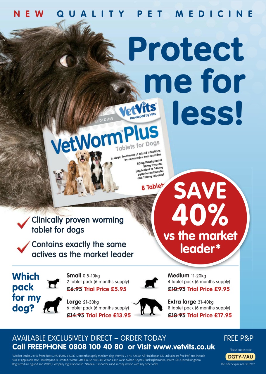 Dogs Today Magazine Preview Pages