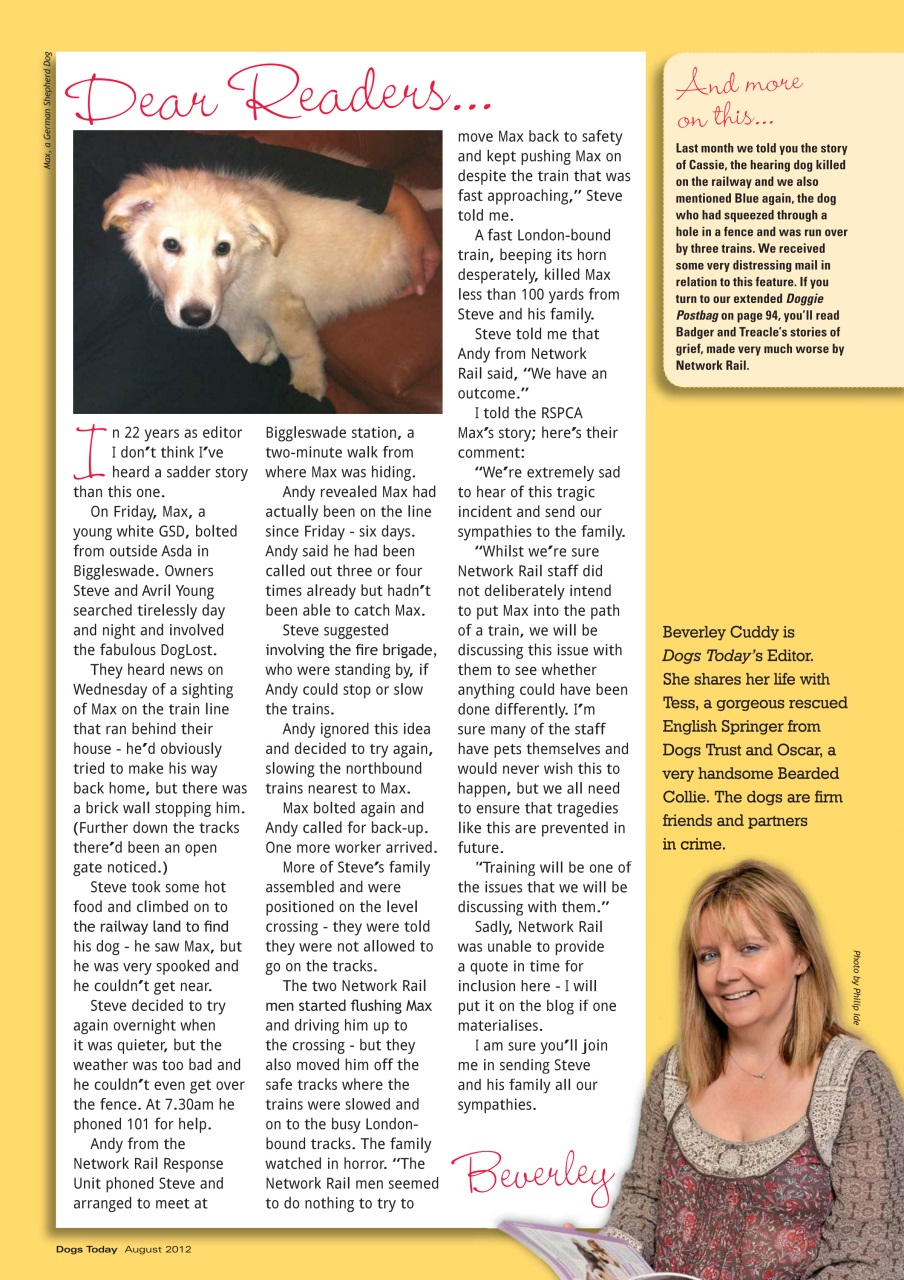 Dogs Today Magazine Preview Pages