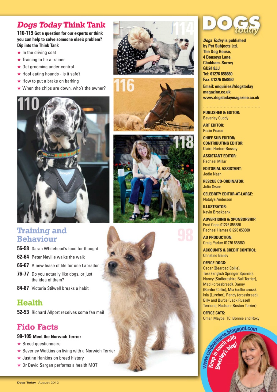 Dogs Today Magazine Preview Pages
