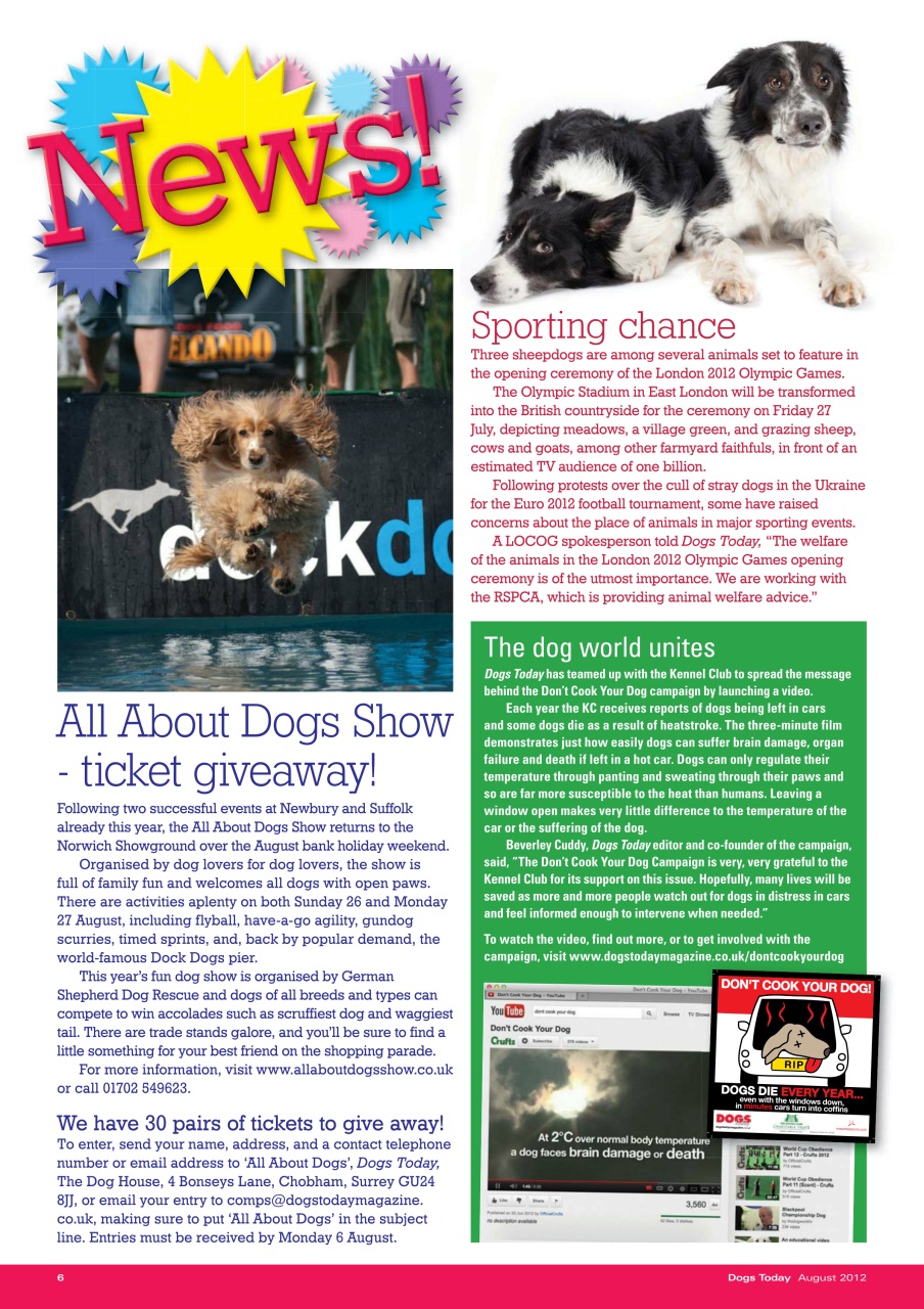 Dogs Today Magazine Preview Pages