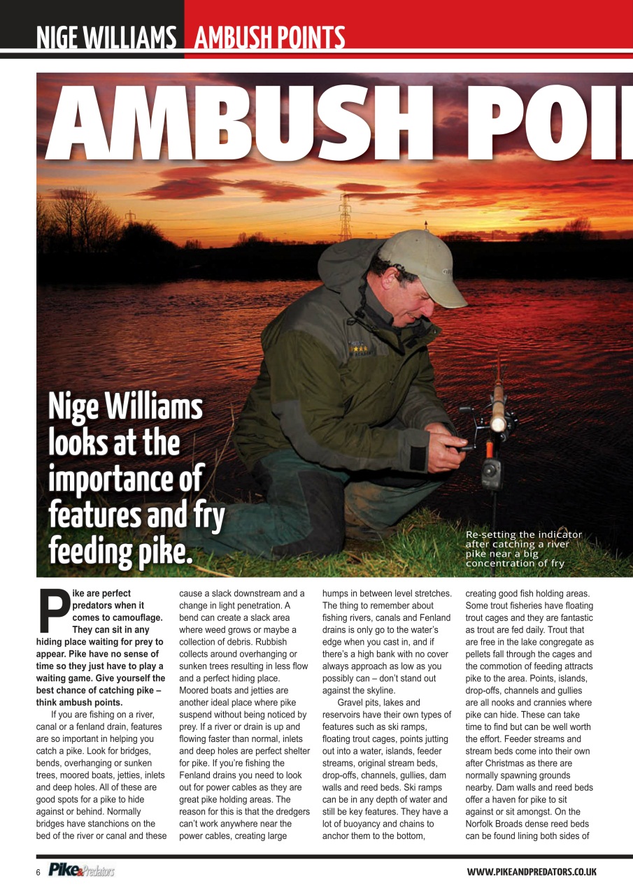 Pike & Predators Preview Pages