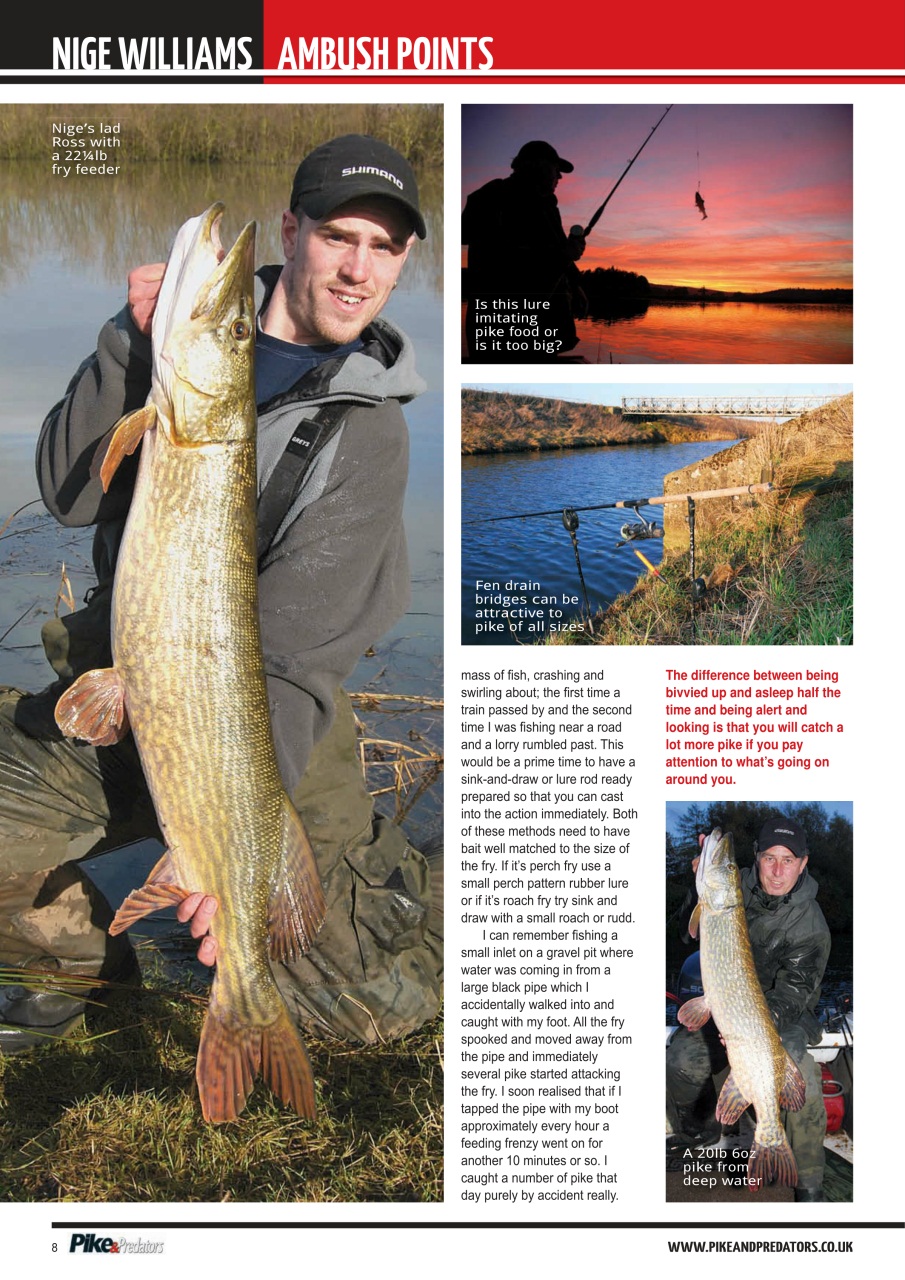 Pike & Predators Preview Pages