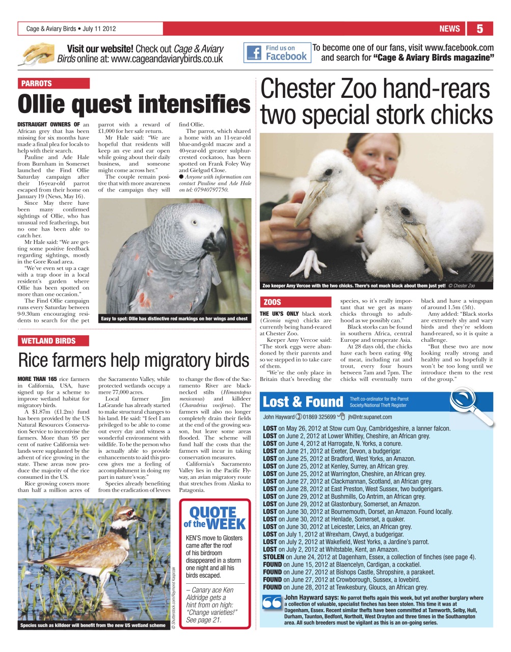 Cage & Aviary Birds Preview Pages