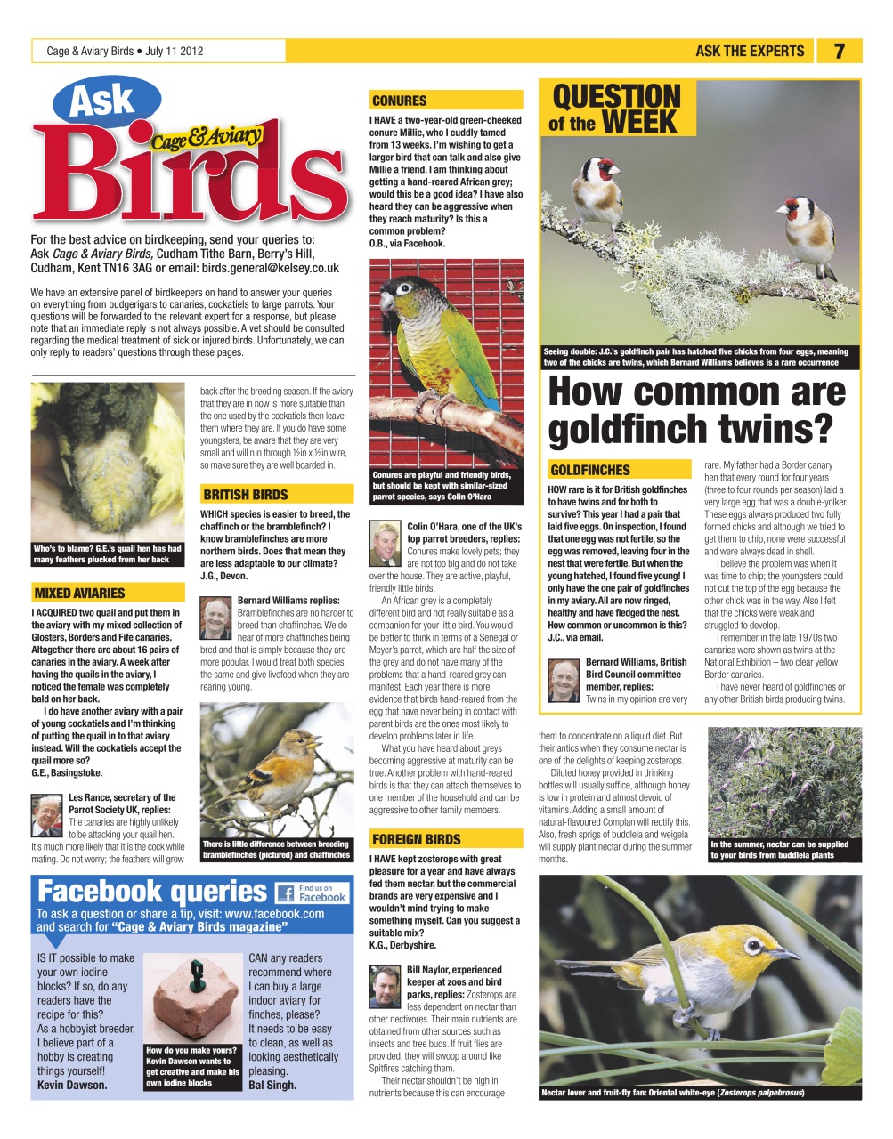 Cage & Aviary Birds Preview Pages