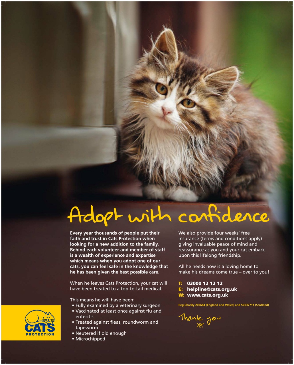 Vegetarian Living Preview Pages