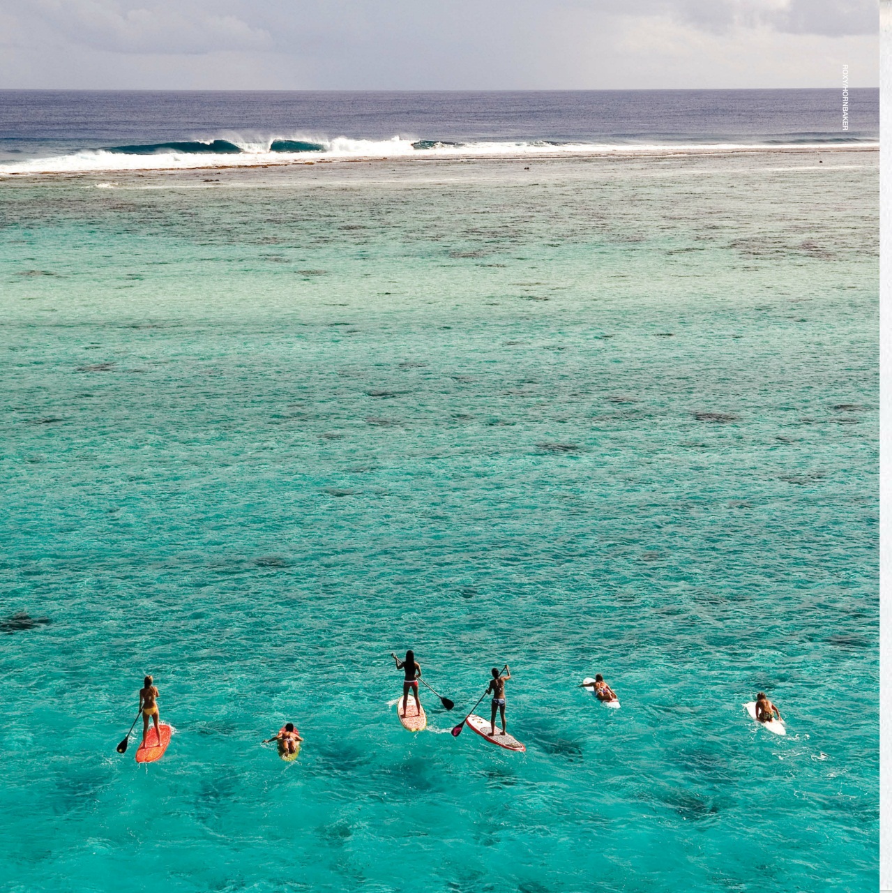 Surfing Books Preview Pages