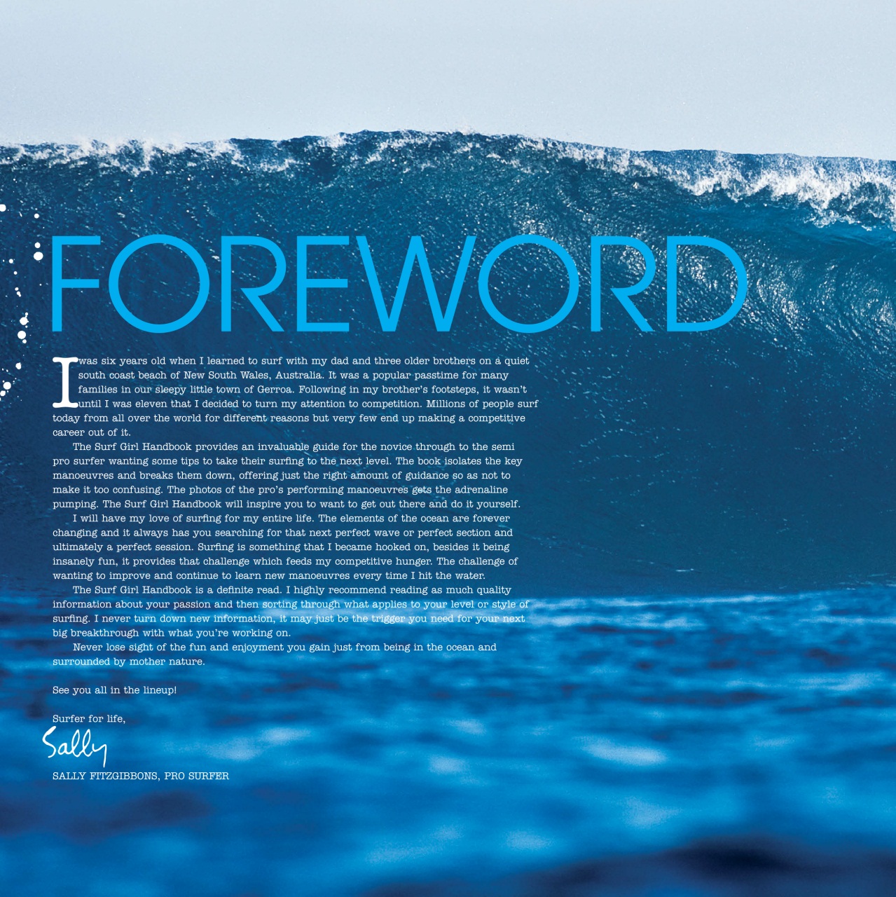 Surfing Books Preview Pages