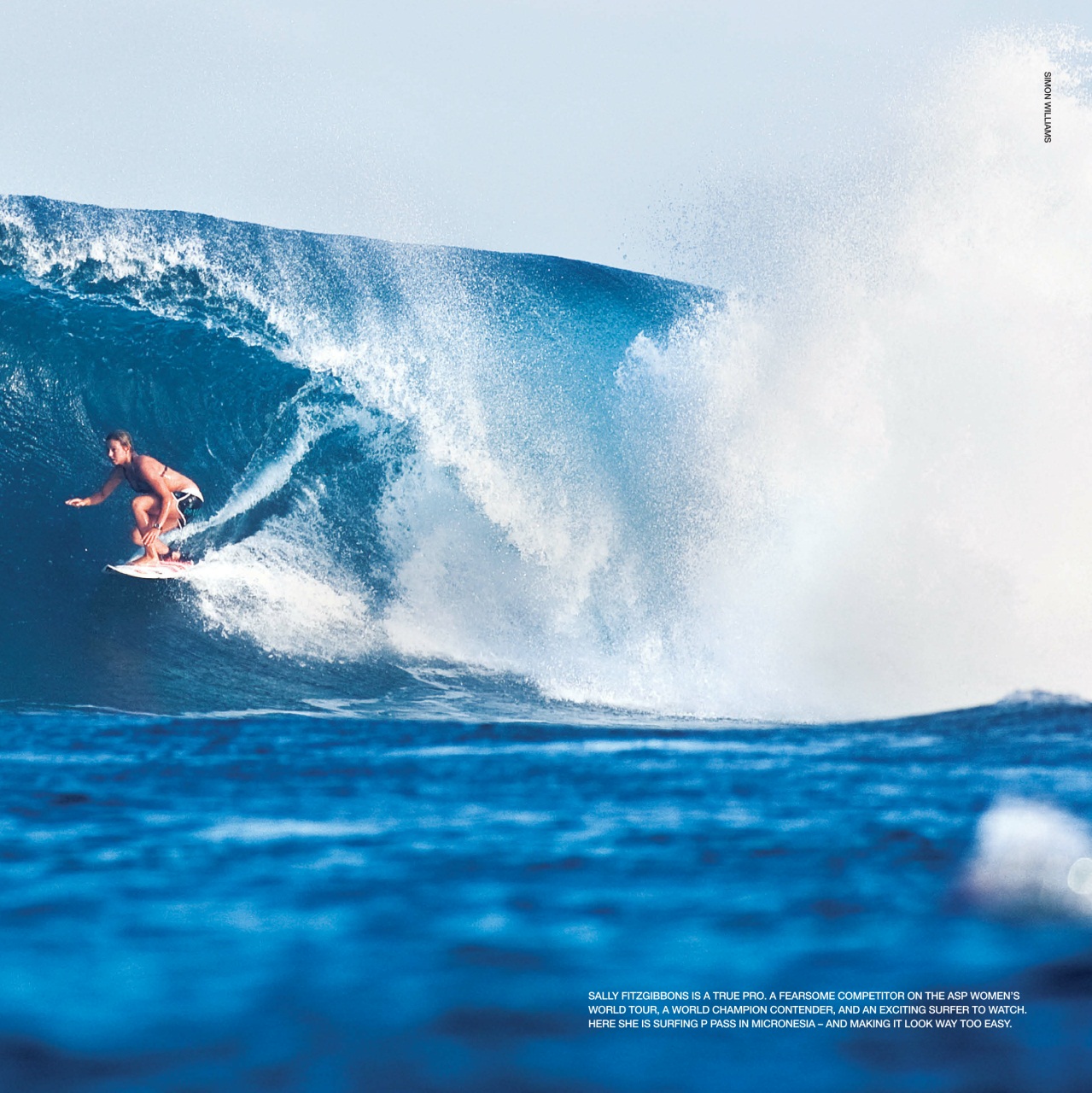 Surfing Books Preview Pages