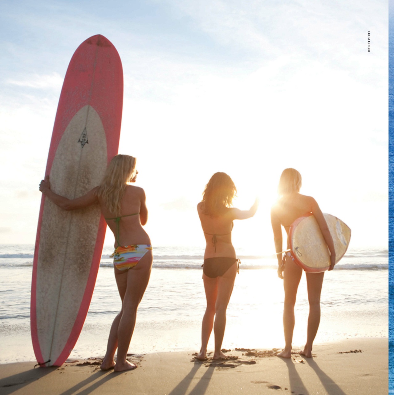 Surfing Books Preview Pages