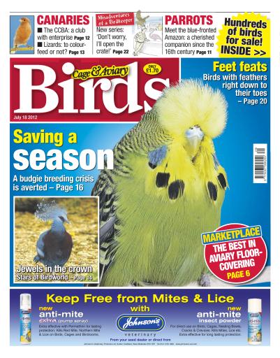 Cage & Aviary Birds issue 