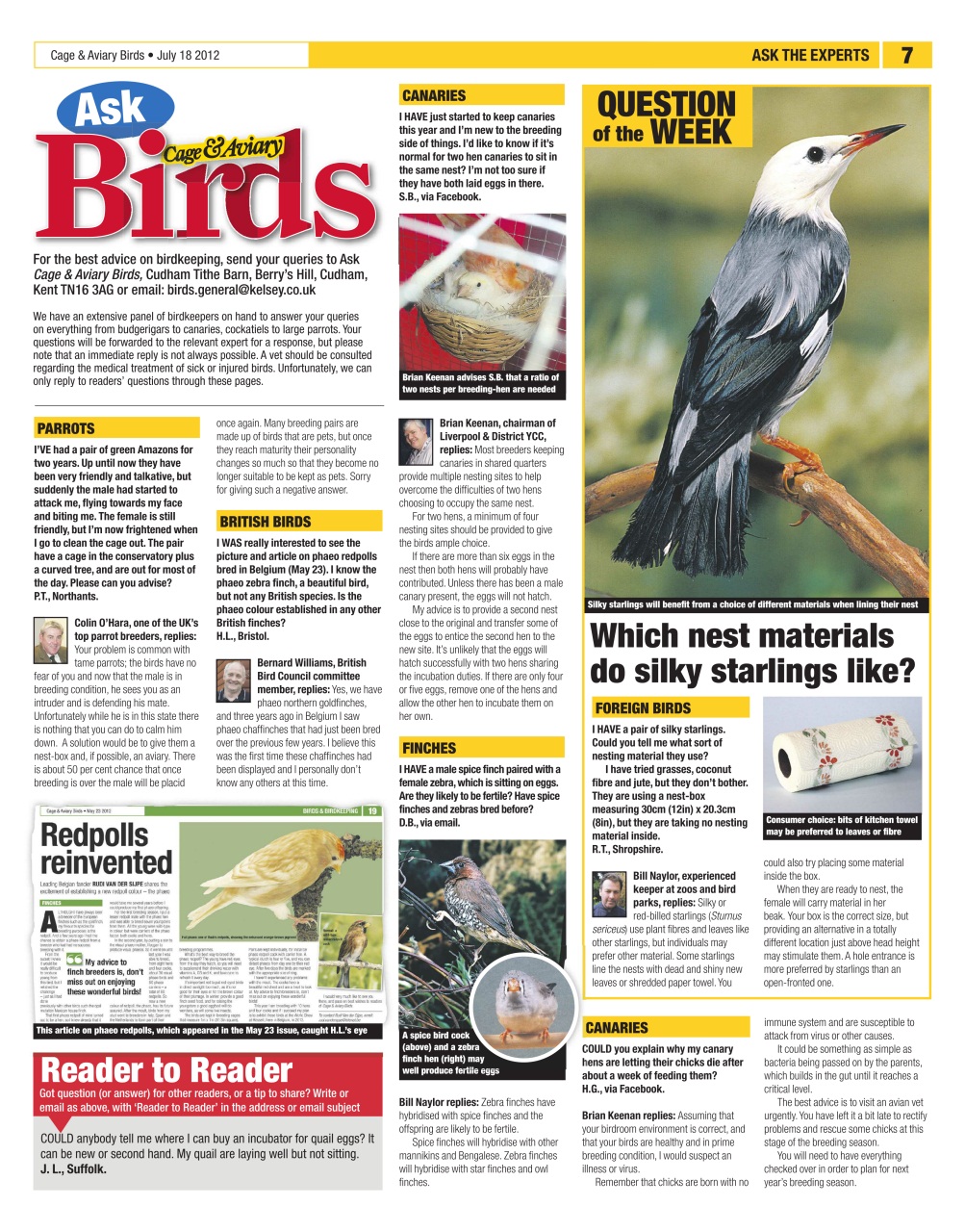 Cage & Aviary Birds Preview Pages