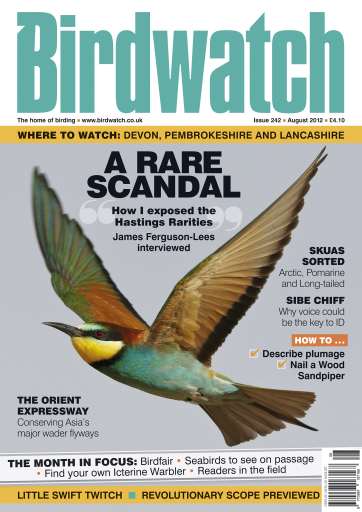 Birdwatch Magazine issue 